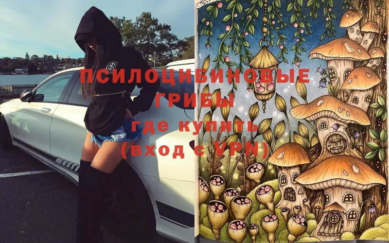 Псилоцибиновые грибы Psilocybe  Учалы 